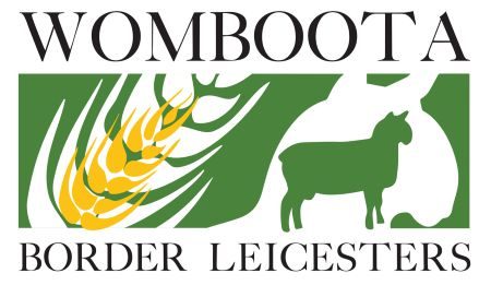 Womboota Border Leicesters
